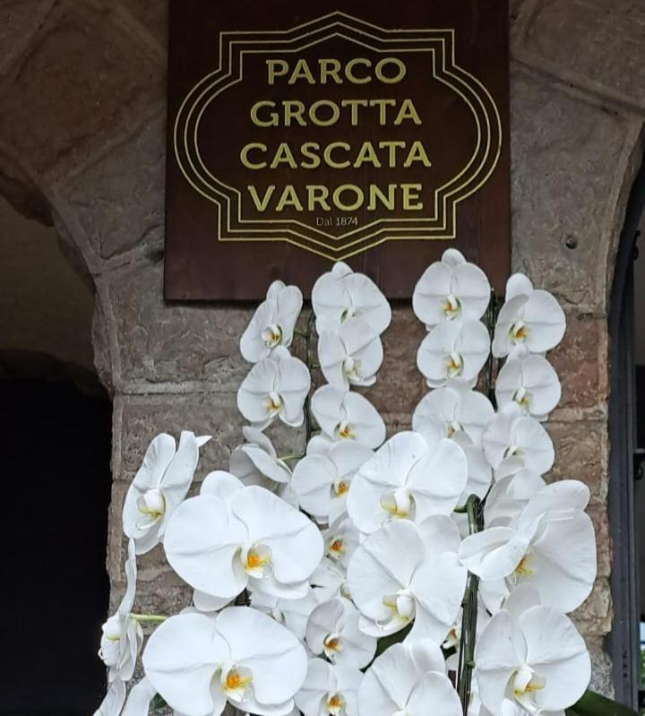 Appartamento Peace&Lake Riva del Garda Exterior foto